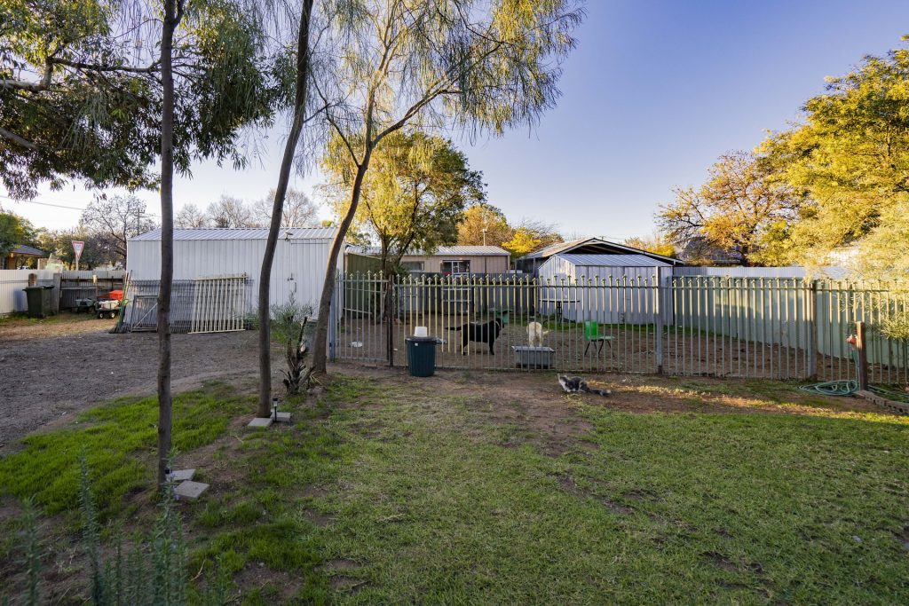 19 Dalgetty Street, Narrandera NSW 2700 - photo 21