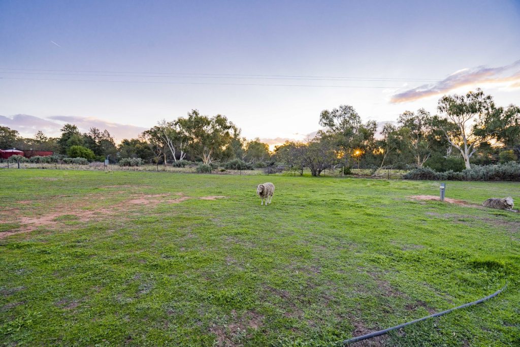 4 Garners Road, Narrandera NSW 2700 - photo 26
