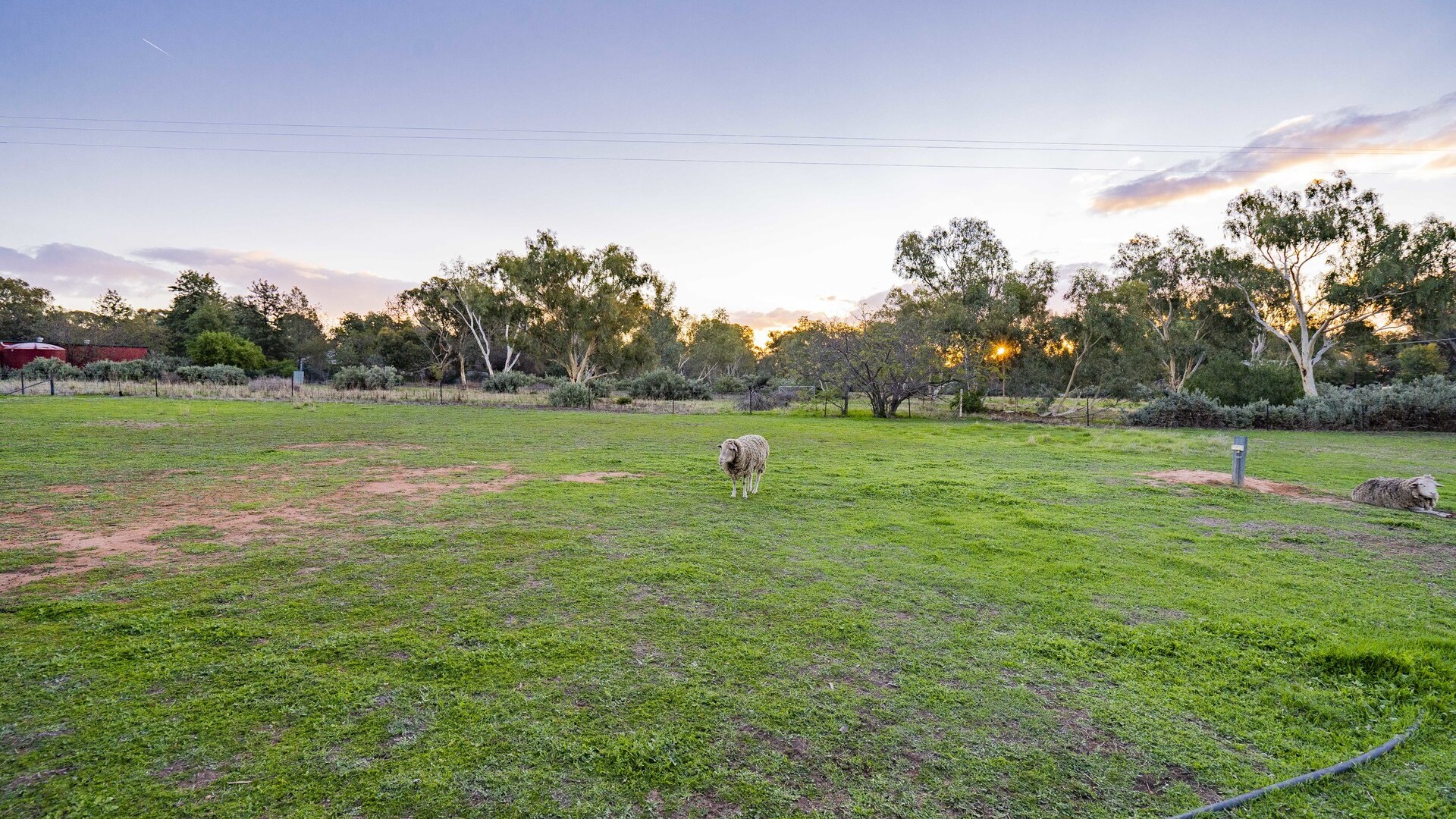 4 Garners Road, Narrandera NSW 2700 - photo 26