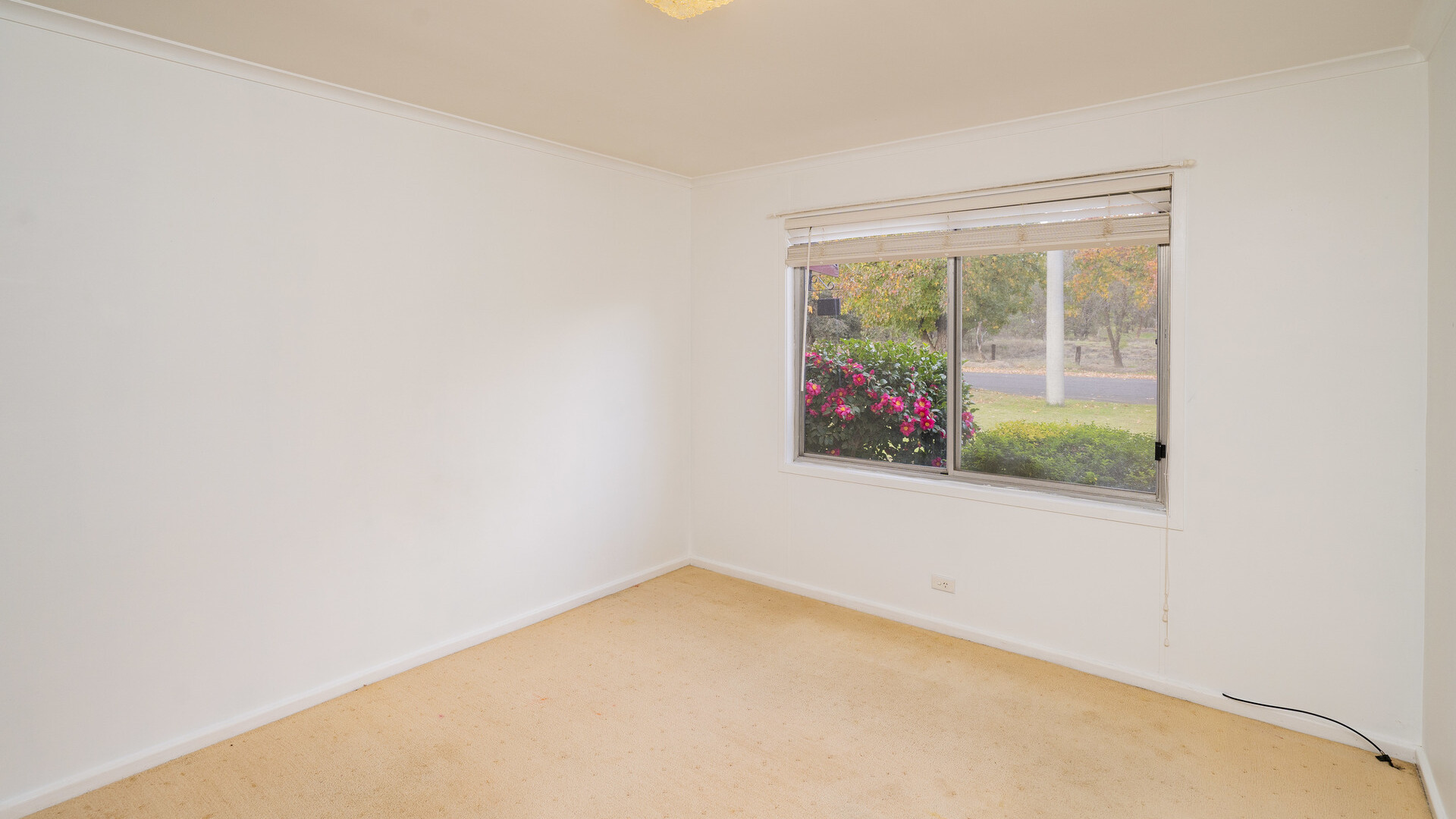 18 Broad Street, Narrandera NSW 2700 - photo 12