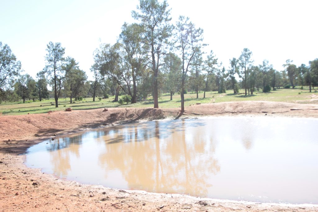 71 Federal Park Road, Grong Grong NSW 2652 - McGrath Riverina