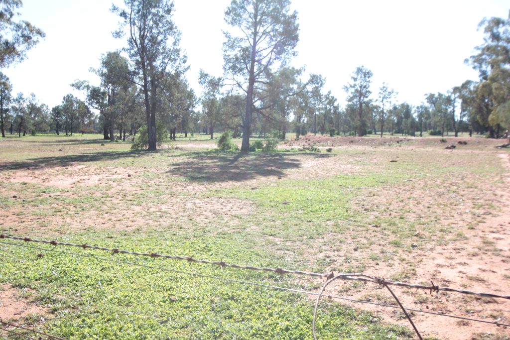 71 Federal Park Road, Grong Grong NSW 2652 - photo 3