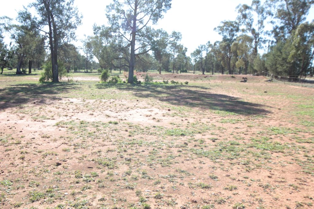 71 Federal Park Road, Grong Grong NSW 2652 - photo 4