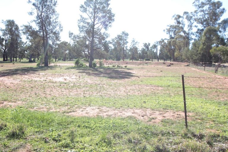 71 Federal Park Road, Grong Grong NSW 2652 - photo 5