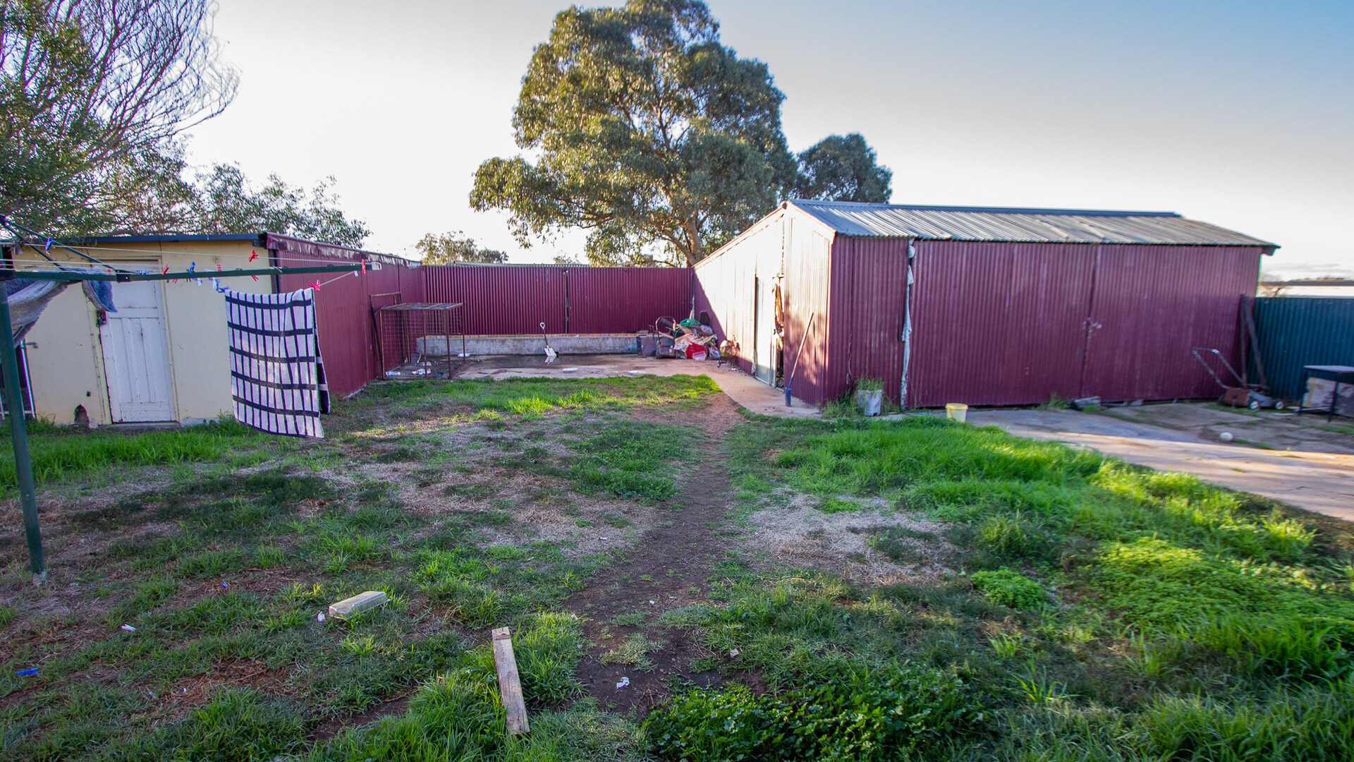 79 Dalgetty Street, Narrandera NSW 2700 - photo 10