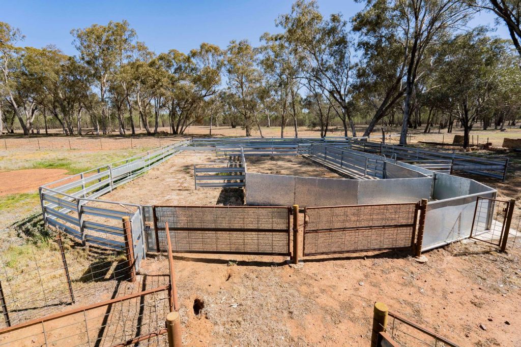 Baldwins Road, Temora NSW 2666 - photo 24