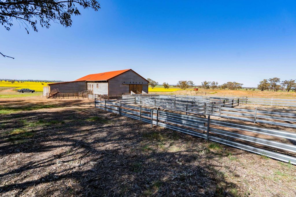 Baldwins Road, Temora NSW 2666 - photo 29
