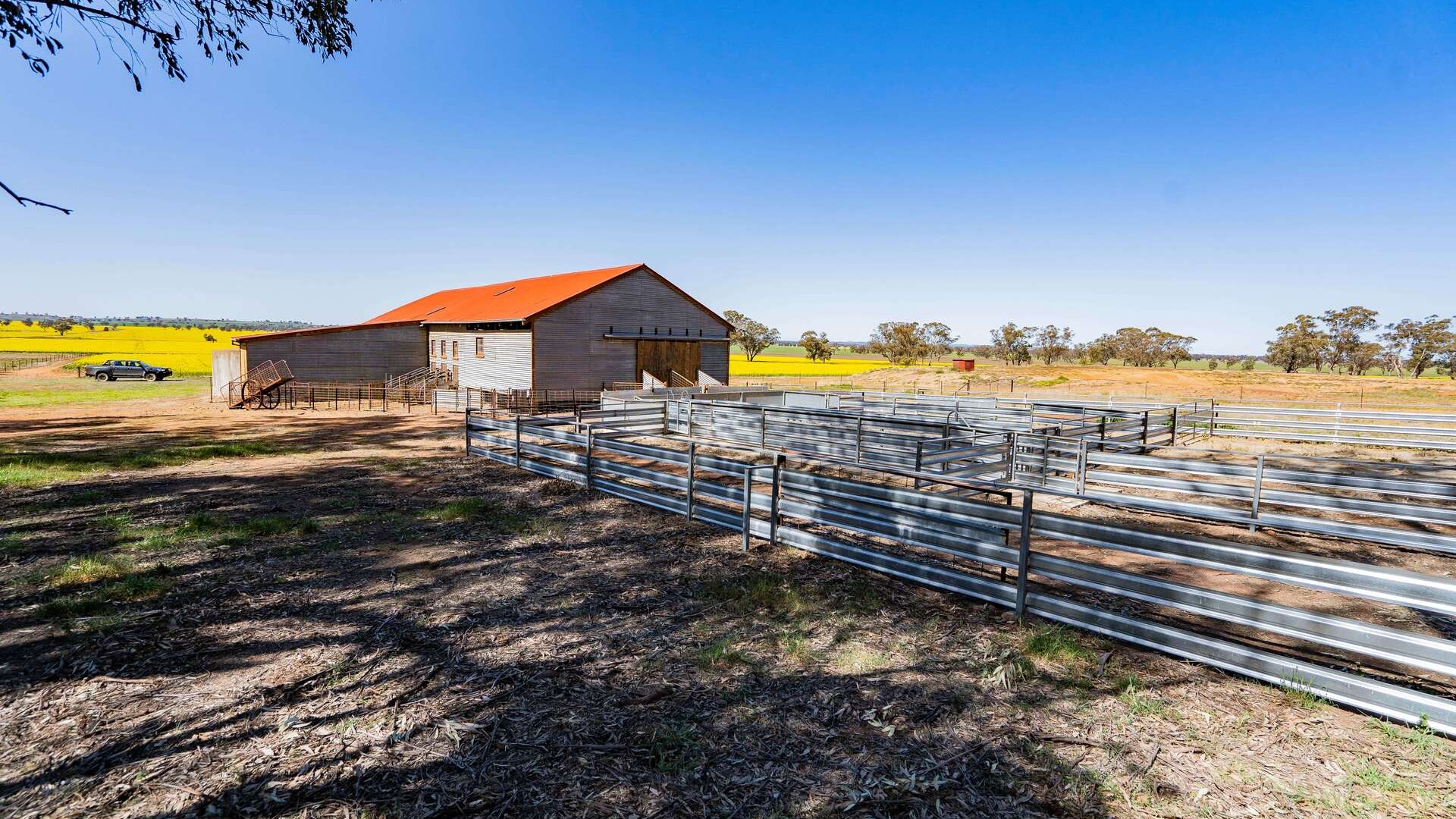 Baldwins Road, Temora NSW 2666 - photo 29