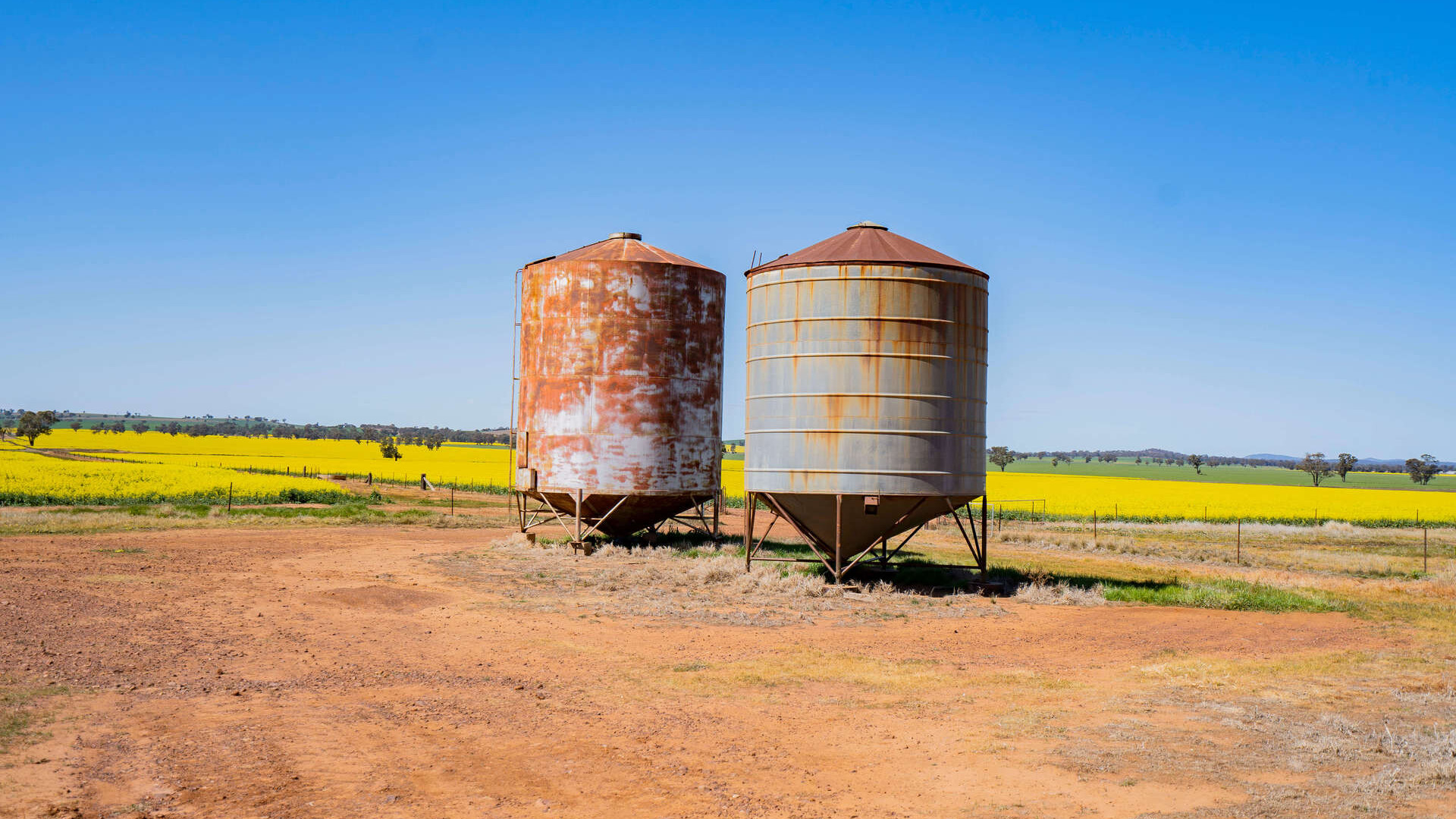 Baldwins Road, Temora NSW 2666 - photo 32