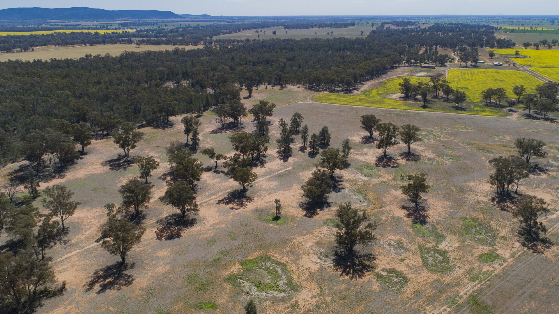 Baldwins Road, Temora NSW 2666 - photo 33