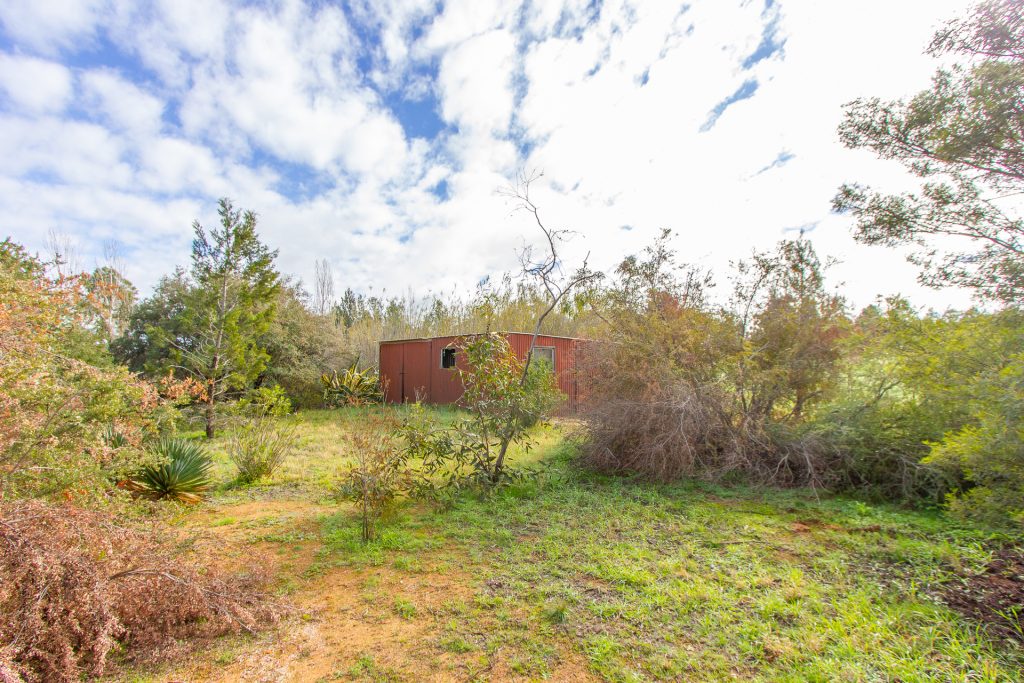 89-91 Douglas Street, Narrandera NSW 2700 - photo 4