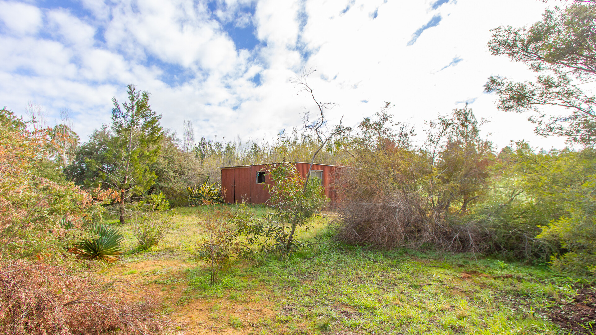 89-91 Douglas Street, Narrandera NSW 2700 - photo 4