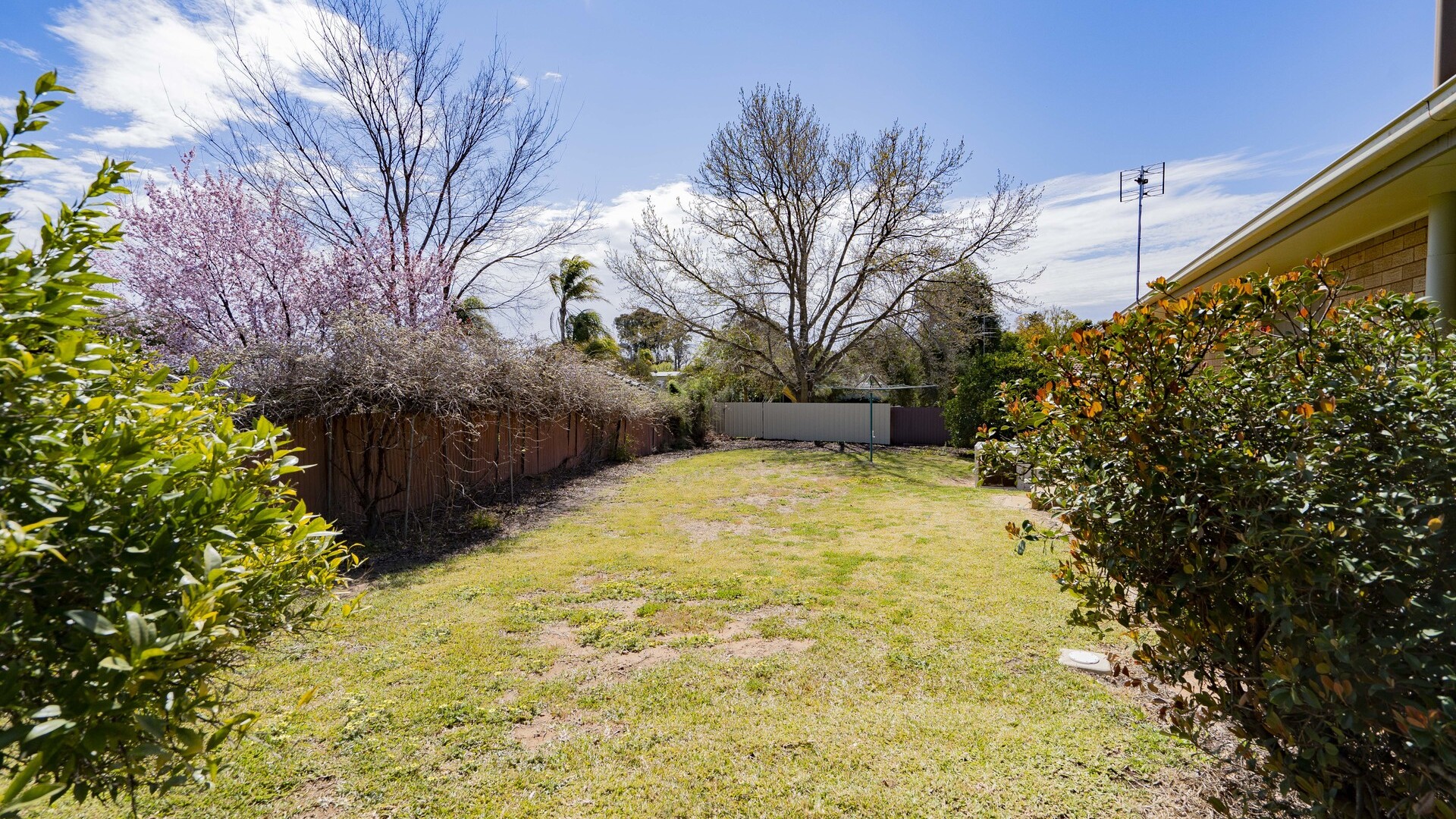 22 Broad Street, Narrandera NSW 2700 - photo 34