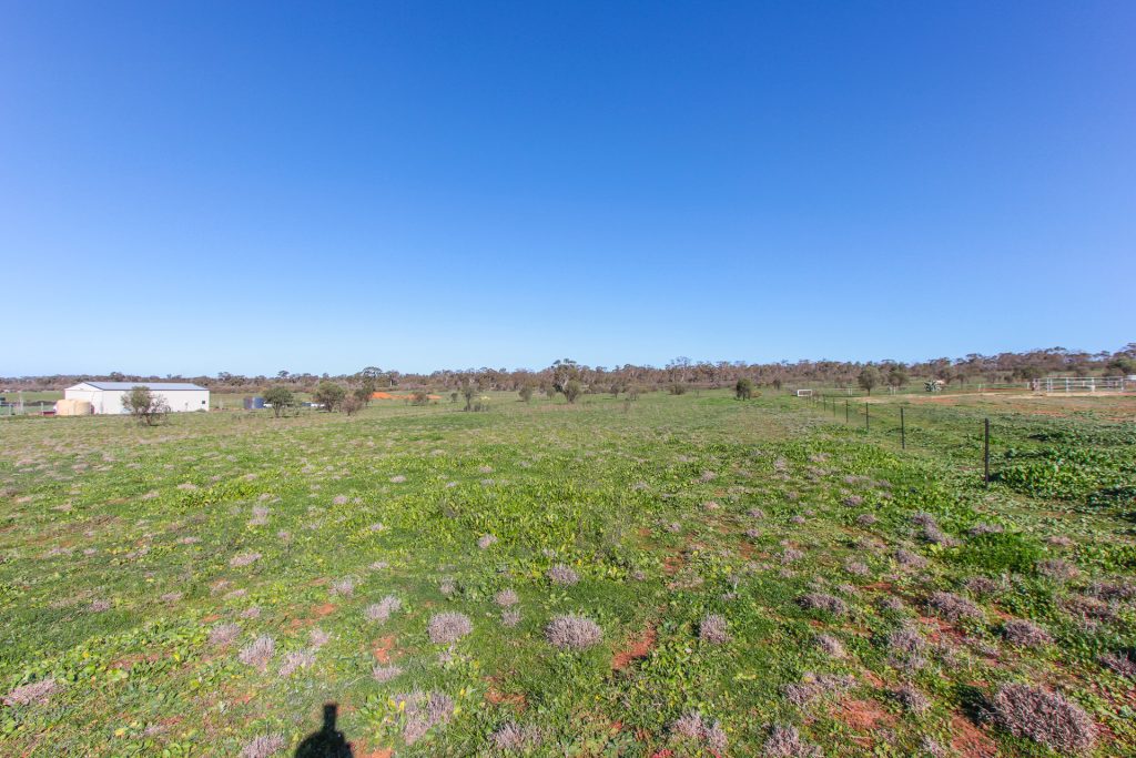 3 Qualitary Road, Leeton NSW 2705 - photo 4