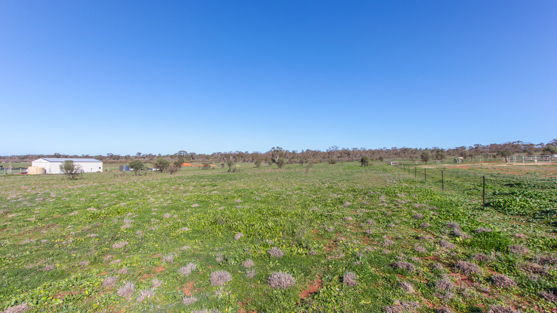 3 Qualitary Road, Leeton NSW 2705 - photo 4