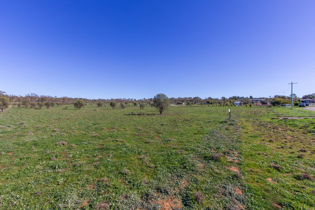 3 Qualitary Road, Leeton NSW 2705 - photo 5