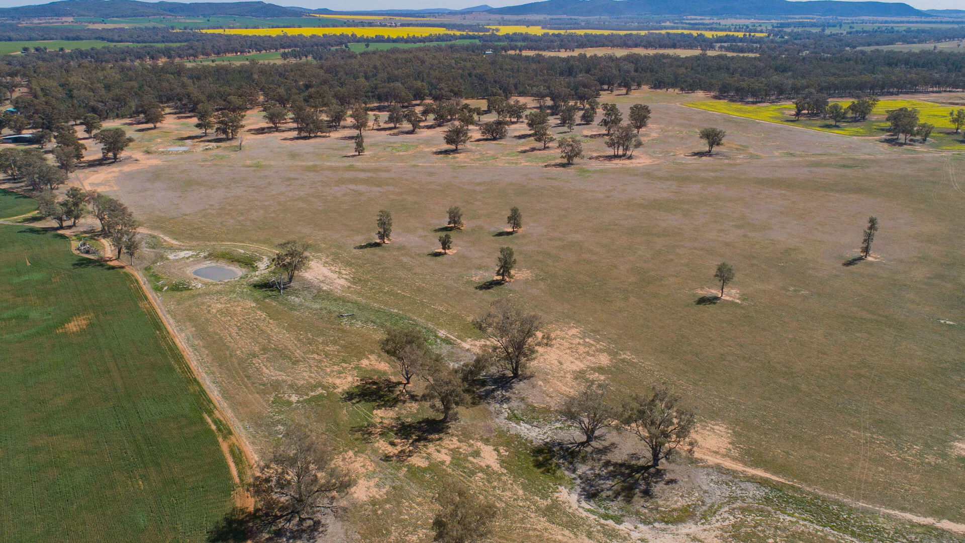 885 Baldwins Road, Temora NSW 2666 - photo 2
