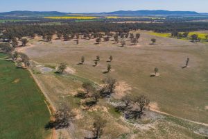 885 Baldwins Road, Temora NSW 2666 - photo 2