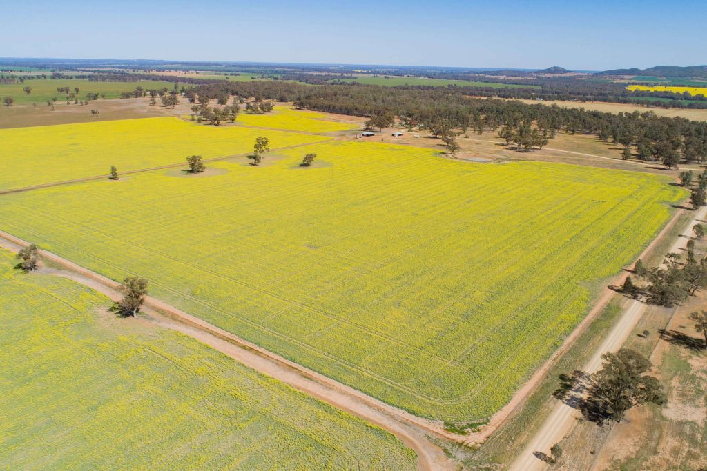 885 Baldwins Road, Temora NSW 2666 - McGrath Riverina
