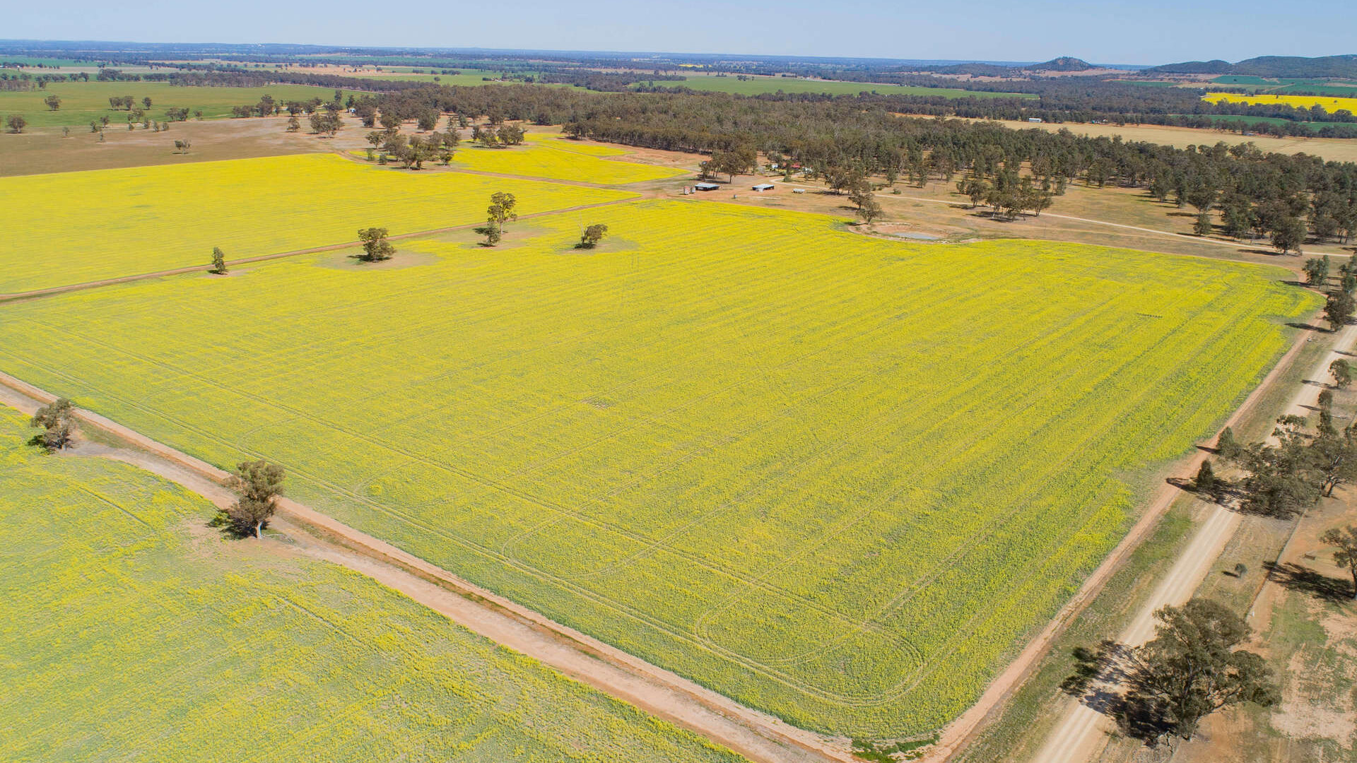 885 Baldwins Road, Temora NSW 2666 - McGrath Riverina