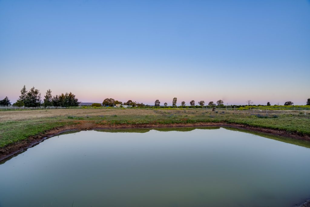 45 Koonadan Road, Leeton NSW 2705 - photo 18