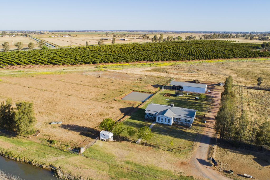 45 Koonadan Road, Leeton NSW 2705 - photo 21