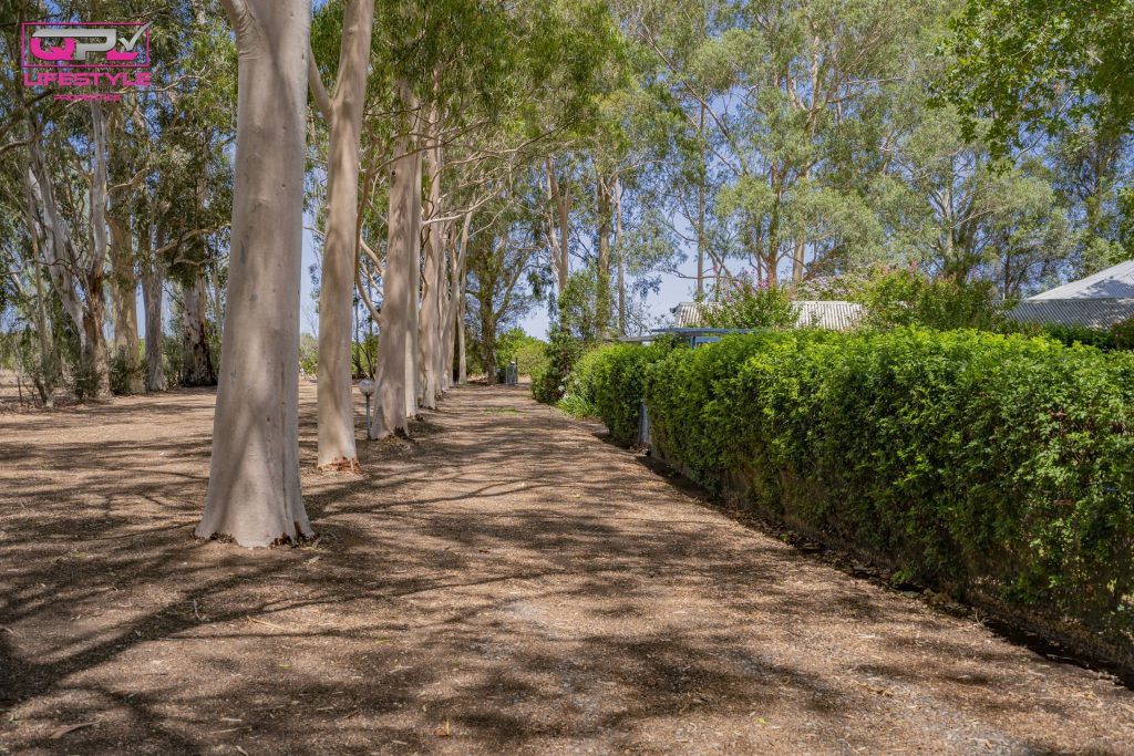 Sold - 114 Thompson Road - New Property in Leeton - Real Estate by Andrew Pellow