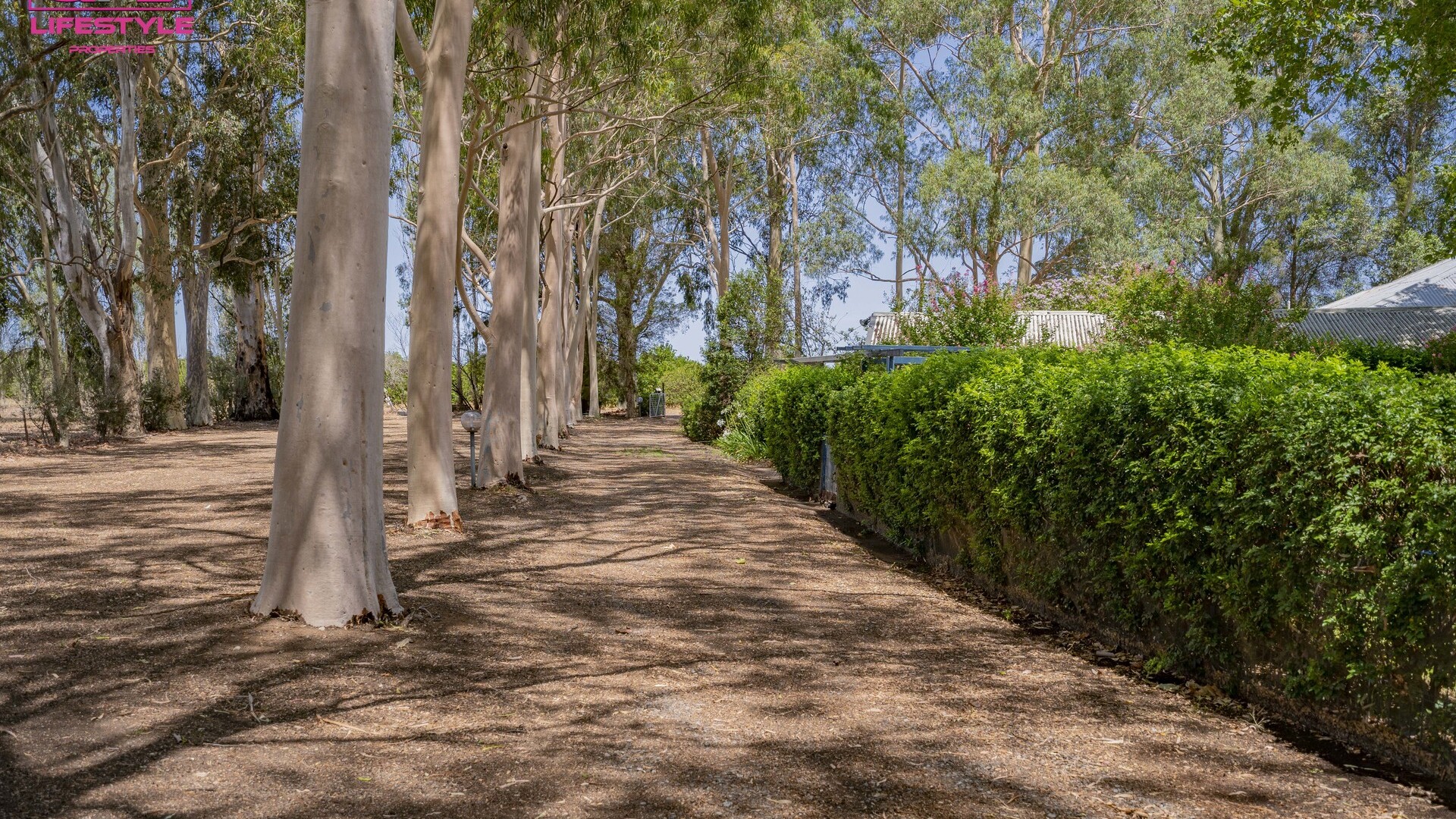 Sold - 114 Thompson Road - New Property in Leeton - Real Estate by Andrew Pellow