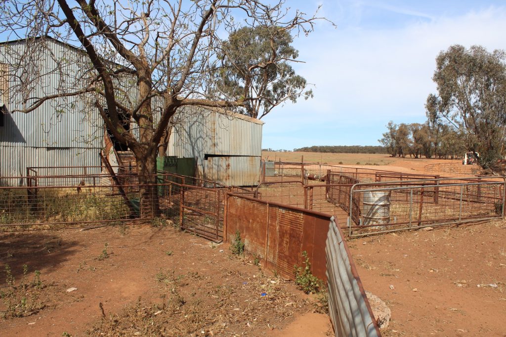 244 Charcoal Tank Road, West Wyalong NSW 2671 - photo 11