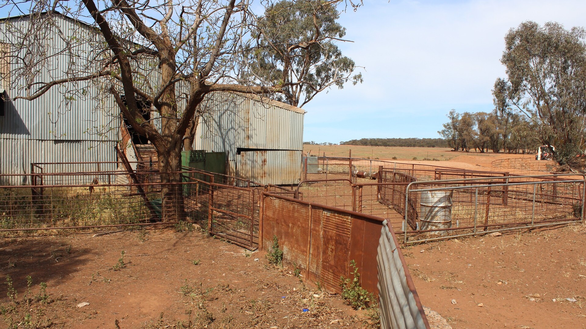 244 Charcoal Tank Road, West Wyalong NSW 2671 - photo 11