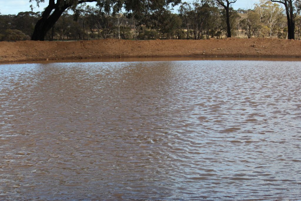 244 Charcoal Tank Road, West Wyalong NSW 2671 - photo 3