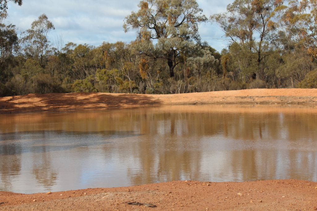 244 Charcoal Tank Road, West Wyalong NSW 2671 - photo 4