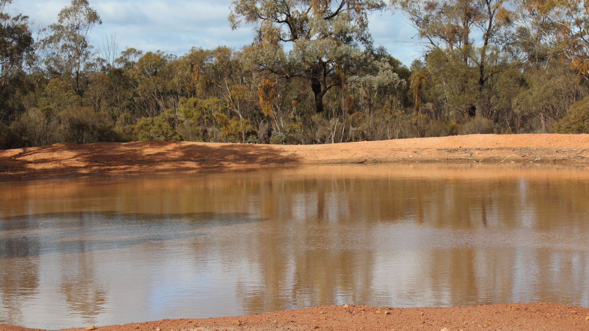 244 Charcoal Tank Road, West Wyalong NSW 2671 - photo 4
