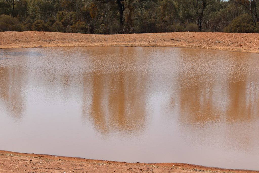 244 Charcoal Tank Road, West Wyalong NSW 2671 - photo 5