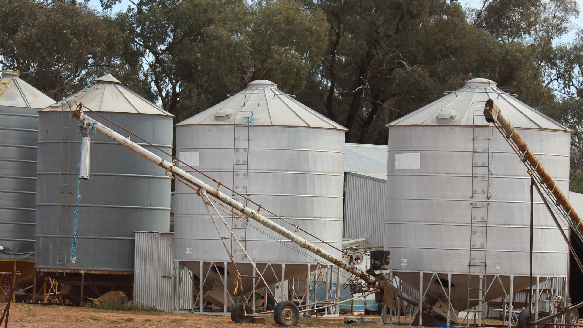 244 Charcoal Tank Road, West Wyalong NSW 2671 - photo 9