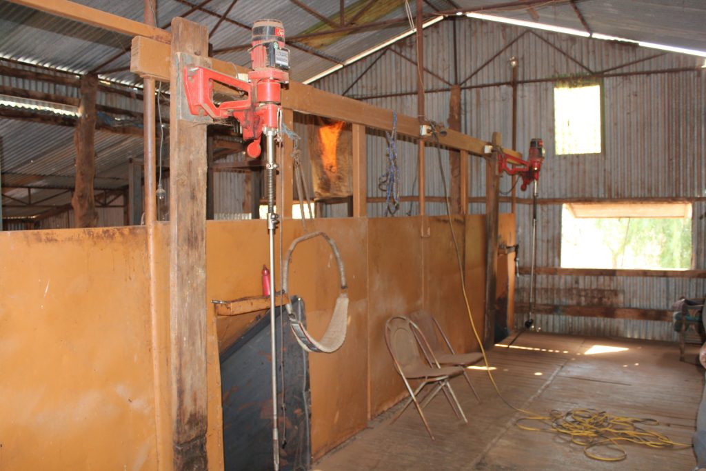 244 Charcoal Tank Road, West Wyalong NSW 2671 - photo 10
