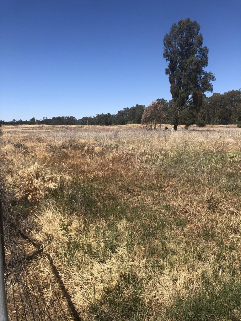 205 & 207 Irrigation Way, Narrandera NSW 2700 - McGrath Riverina