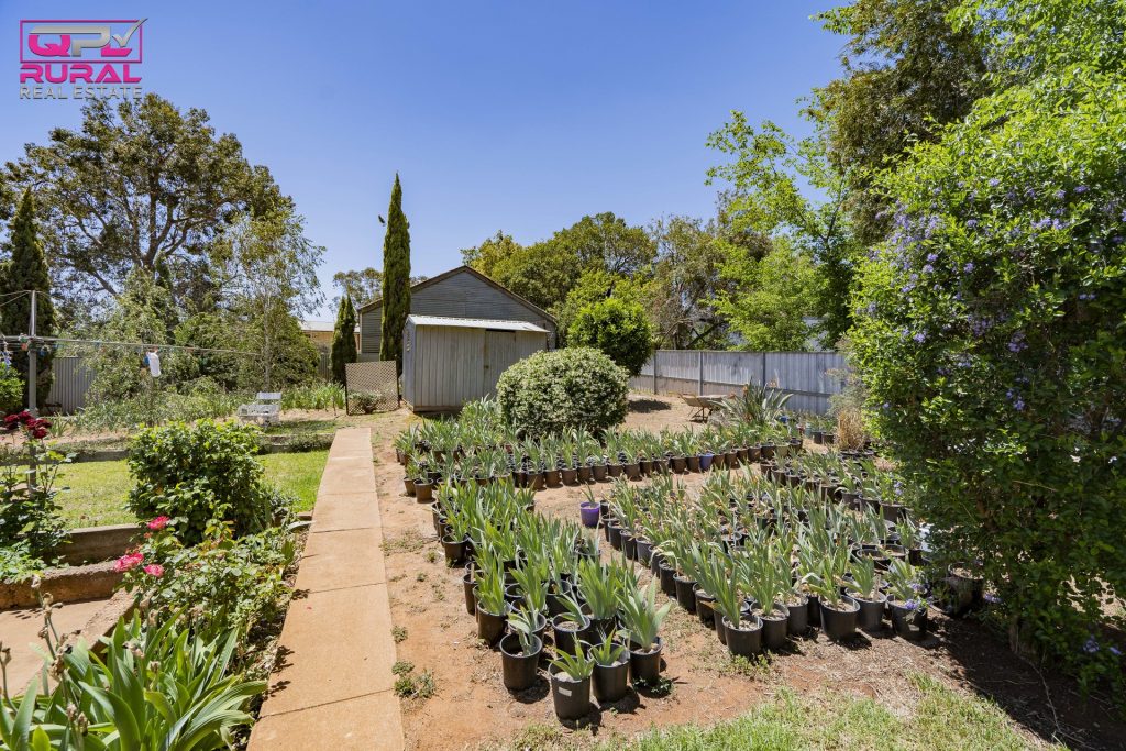 161 Kitchener Road, Temora NSW 2666 - photo 19