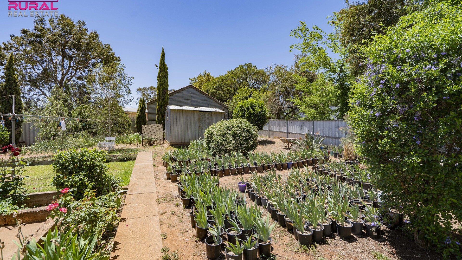 161 Kitchener Road, Temora NSW 2666 - photo 19