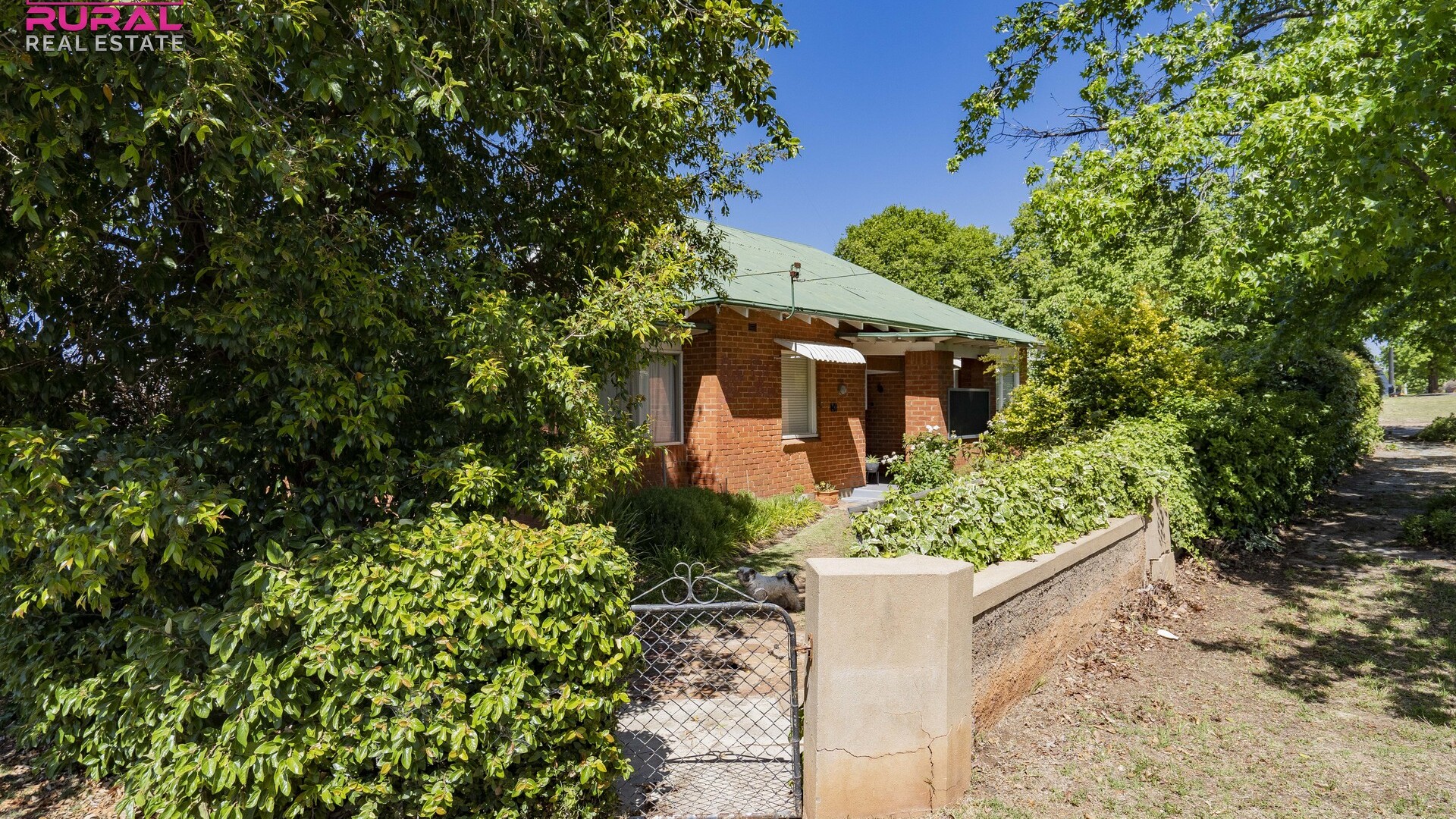 20 May Street, Narrandera NSW 2700 - photo 22
