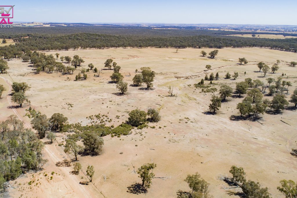 Old Cootamundra Road, Temora NSW 2666 - photo 11