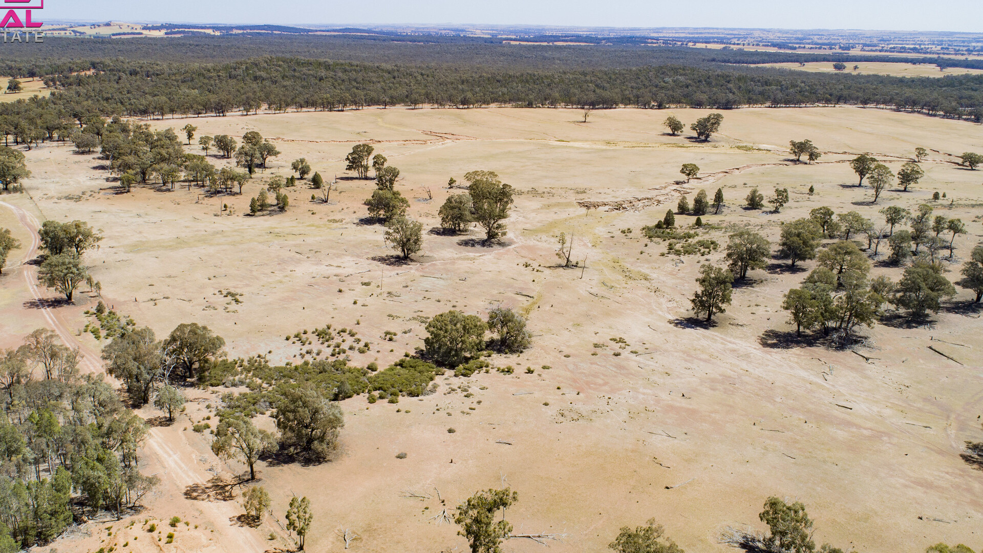 Old Cootamundra Road, Temora NSW 2666 - photo 11