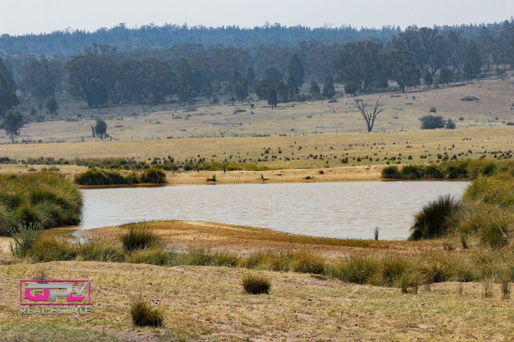 Old Cootamundra Road, Temora NSW 2666 - McGrath Riverina