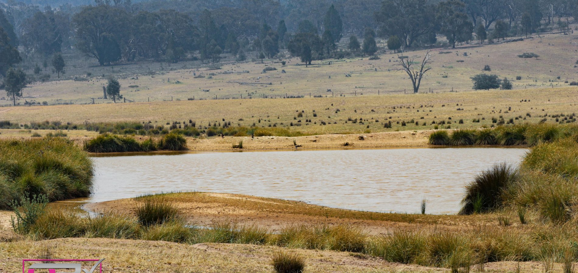 Old Cootamundra Road, Temora NSW 2666 - McGrath Riverina