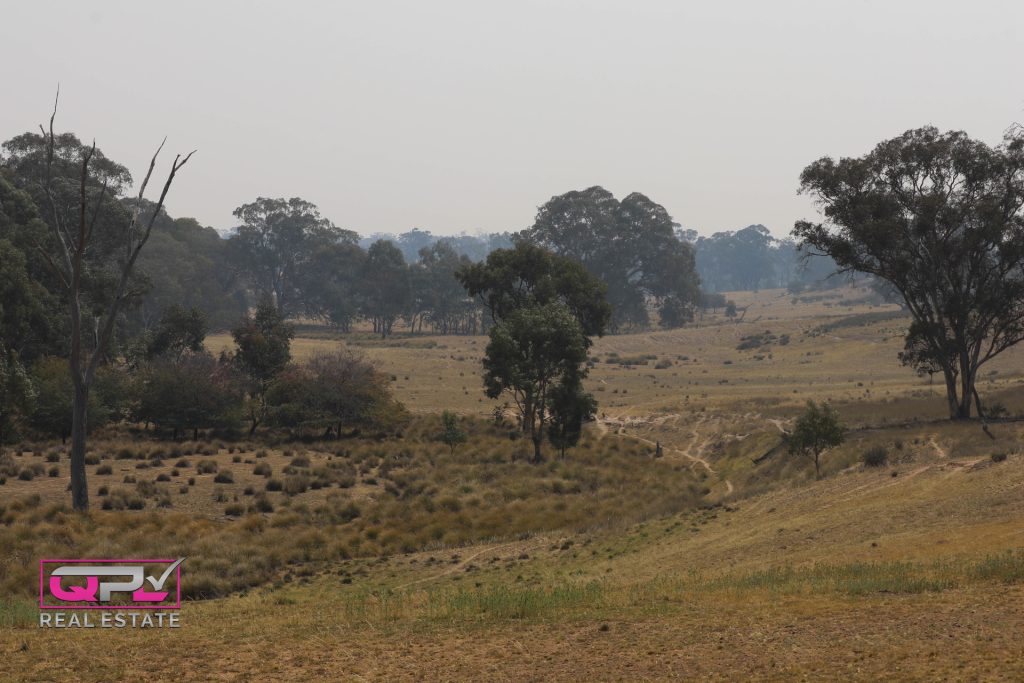Old Cootamundra Road, Temora NSW 2666 - photo 3
