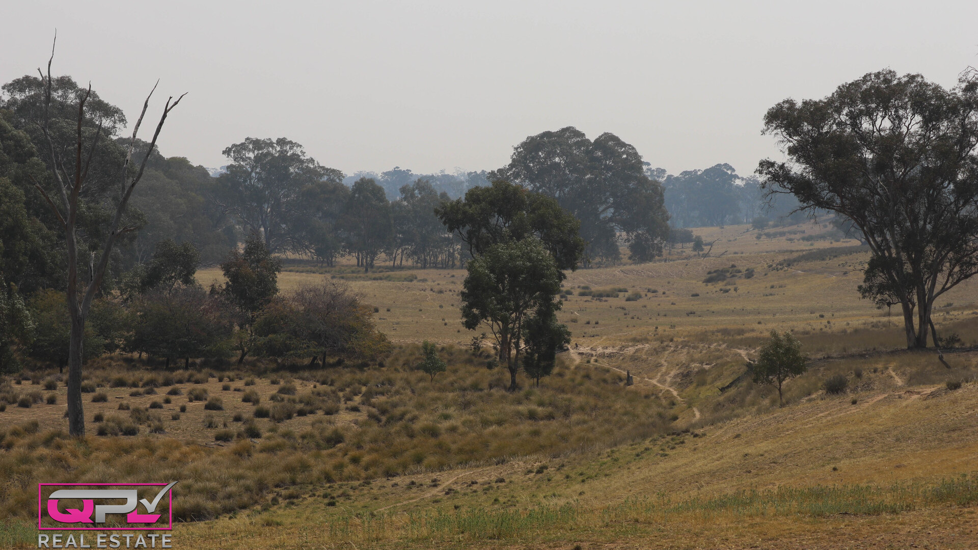 Old Cootamundra Road, Temora NSW 2666 - photo 3