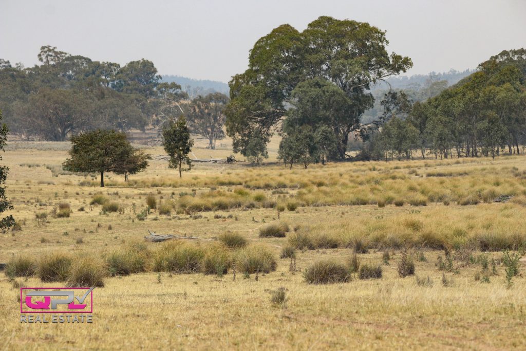 Old Cootamundra Road, Temora NSW 2666 - photo 4