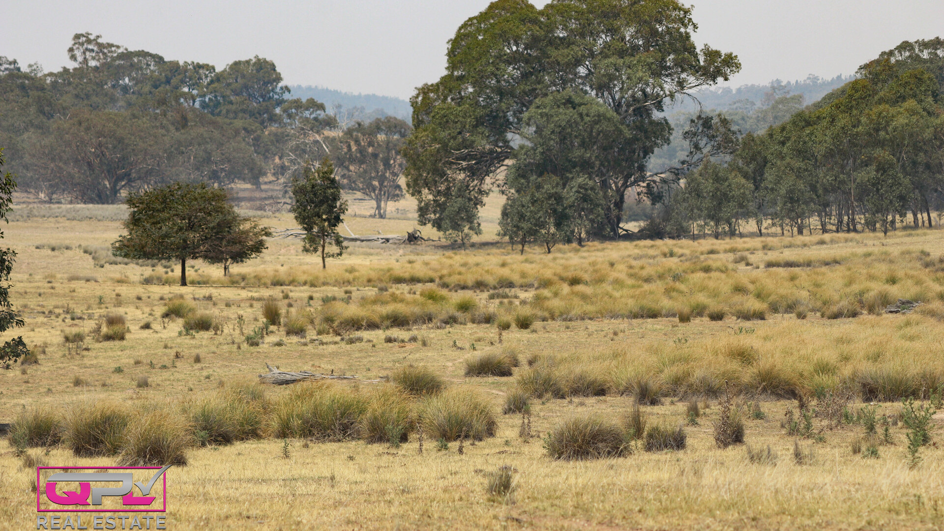 Old Cootamundra Road, Temora NSW 2666 - photo 4