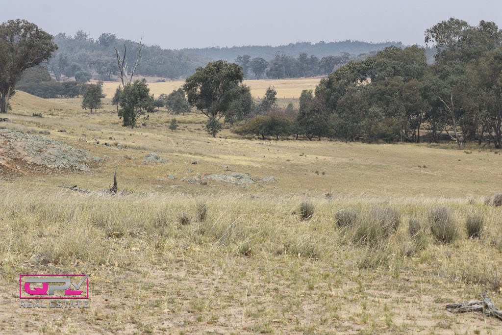 Old Cootamundra Road, Temora NSW 2666 - photo 5