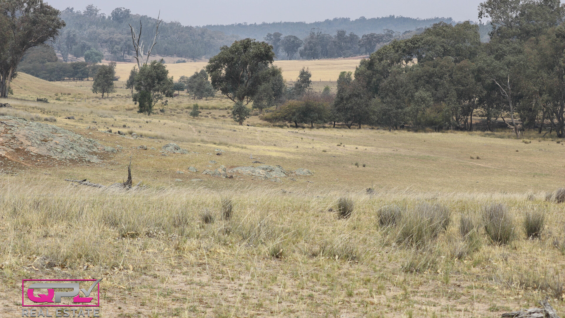 Old Cootamundra Road, Temora NSW 2666 - photo 5